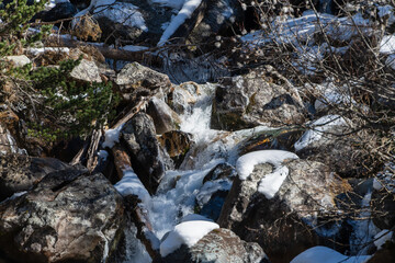 Mountain river flows in turbulent foaming stream in stone bed between huge boulders. Pure emerald...