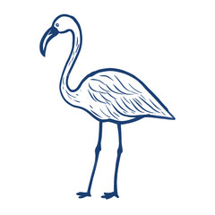 Obraz premium Flamingo illustration minimalist bird vector