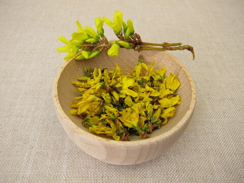 Dried yellow forsythia flowers in a wooden bowl