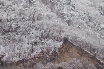 雪の山で崩落した斜面 地層が見える土砂災害