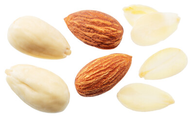 Almond nuts and blanched almonds isolated on white background. File contains clipping path.