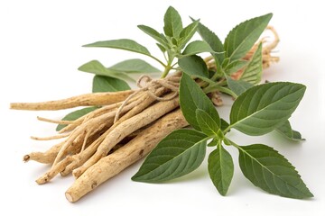 ashwagandha stick and leaf isolated on white background