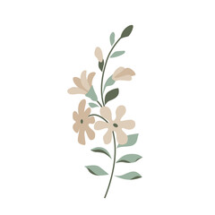 Tender blossoming branch with a small beautiful flowers isolated on white. Nice plant in a flat style.