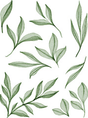 Fototapeta premium green leaves collections