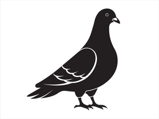
Rock Pigeon silhouette vector illustration, Rock Pigeon silhouette vector on white background, Rock Pigeon Eps