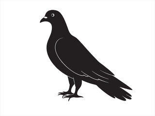 
Rock Pigeon silhouette vector illustration, Rock Pigeon silhouette vector on white background, Rock Pigeon Eps