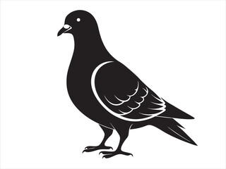 Obraz premium Rock Pigeon silhouette vector illustration, Rock Pigeon silhouette vector on white background, Rock Pigeon Eps