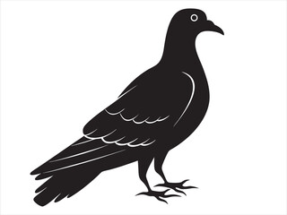
Rock Pigeon silhouette vector illustration, Rock Pigeon silhouette vector on white background, Rock Pigeon Eps