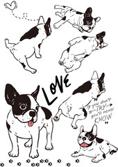 Poster design for lovers of the French Bulldog breed. Cute pose. White background.