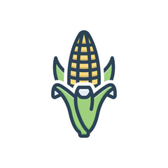 Color illustration icon for corn