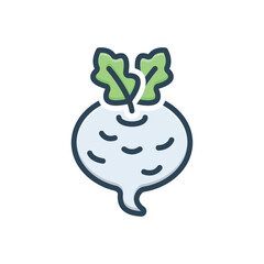 Color illustration icon for turnip