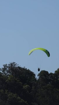 Paragliders Soaring Over Forest