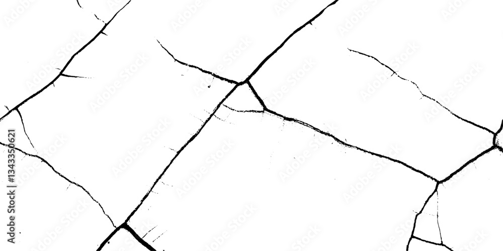 Poster striking details of crack texture on a stark white background highlighting natural patterns and irre
