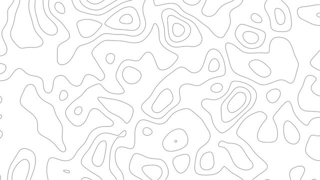 Gray outline topographic contour map abstract tech motion graphic design. Geometric background. Video animation Ultra HD 4K 3840x2160.Abstract animated outline topographic contour map. TECHNOLOGY