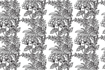 Fototapeta premium Line art botanical seamless plant pattern with flowers vector illustration. Black outline repeating floral pattern in white background. Graphic design for Fashion Cover Textile Coloring Page Birthday