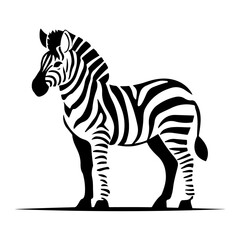 Zebra vector art design
