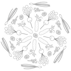 Vegetables pattern in doodle style in vector