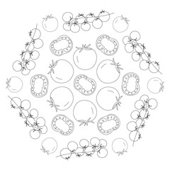 Tomatoes decorative ornament in doodle style in vector