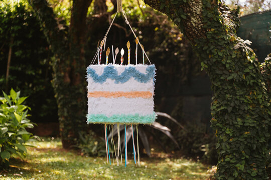 Colorful Pignatta Hanging from Tree in Garden