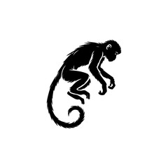 Obraz premium Monkey Silhouette Vector