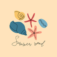 Marine seashells set. Underwater shellfish, starfish, beach shells, clam, mollusk, oyster, cowrie. Sea collection, summer mood. Vector flat cartoon illustration