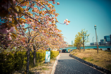 Winter street scene in Honshu, Japan