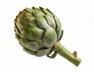 Obraz premium artichoke on a white background, Silhouette of green artichoke isolated on white background