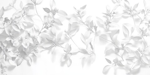 Linear white honeysuckle silhouettes in crisscross pattern on white