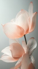 Beautifully crafted flowers showcase a gentle interplay of soft pink hues and intricate petal textures. The light enhances their delicate forms, creating an elegant atmosphere