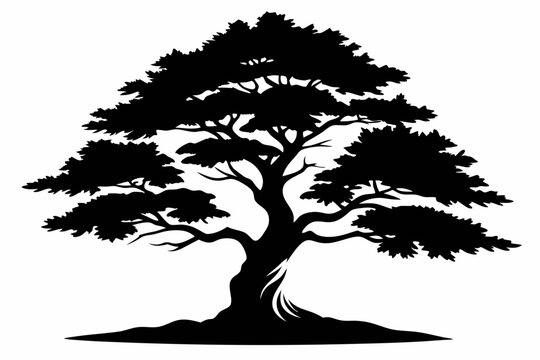 cypress tree line art silhouette vector illustration