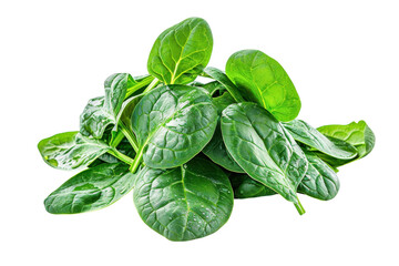 Fototapeta premium Fresh green spinach leaves piled high on a clean surface showcasing their vibrant color and texture