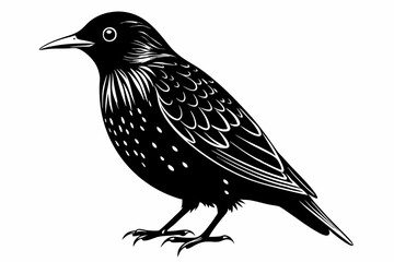 european starling line art silhouette vector illustration