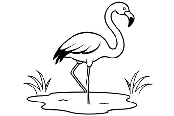 Fototapeta premium flamingo wading in a pond with the sun shining line art silhouette vector illustration
