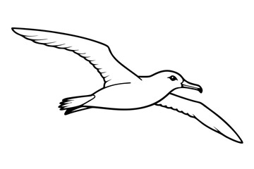 Obraz premium flying albatross line art silhouette vector illustration