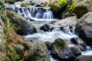 Fototapeta premium Little Creek in jungle at Doi Saket chiangmai Northern Thailand,South East Asia