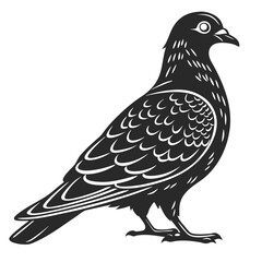Pigeon silhouette vector illustration