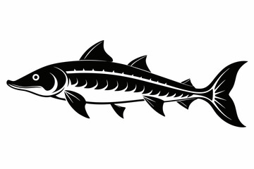lake sturgeon line art silhouette vector illustration