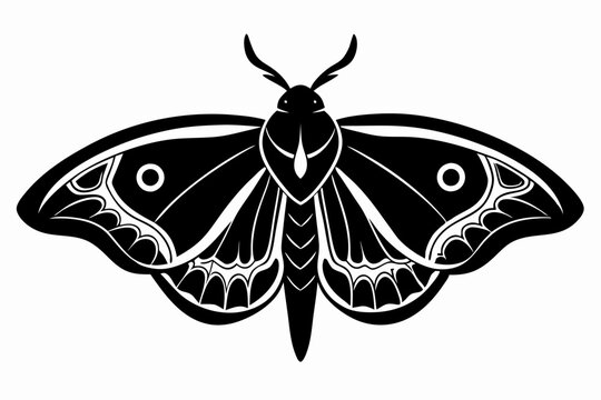 recommend clip art: luna moth line art silhouette vector illustration