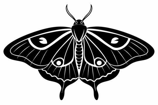 recommend clip art: luna moth line art silhouette vector illustration