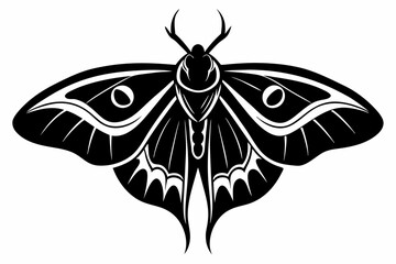 luna moth line art silhouette vector illustration