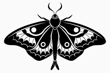 luna moth line art silhouette vector illustration