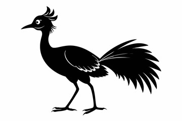 lyrebird line art silhouette vector illustration