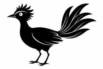 lyrebird line art silhouette vector illustration