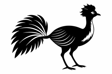 lyrebird line art silhouette vector illustration