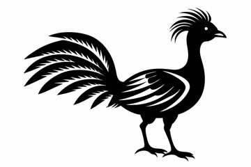 lyrebird line art silhouette vector illustration