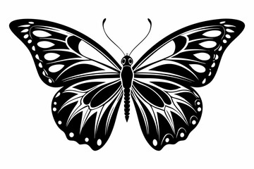 morpho butterfly line art silhouette vector illustration