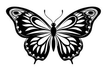 morpho butterfly line art silhouette vector illustration