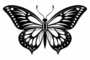 morpho butterfly line art silhouette vector illustration