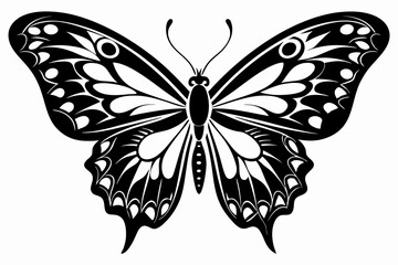 morpho butterfly line art silhouette vector illustration