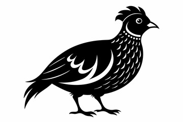 northern bobwhite line art silhouette vector illustration